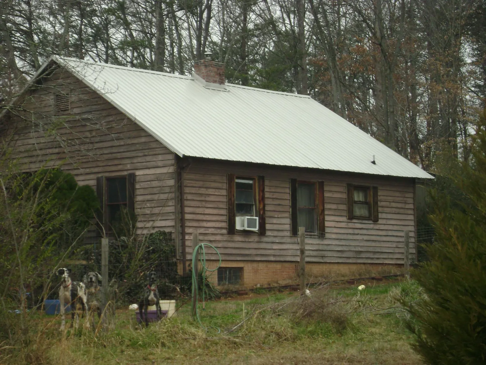 White metal roof on an old wood sided farmhouse, from a Asphalt Shingle Roof Repair job in Grindstone